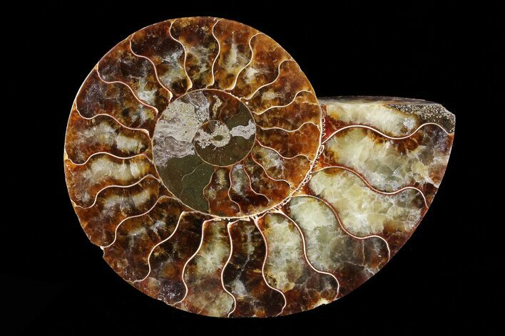 Agatized Ammonite Fossil (Half) - Madagascar #83846